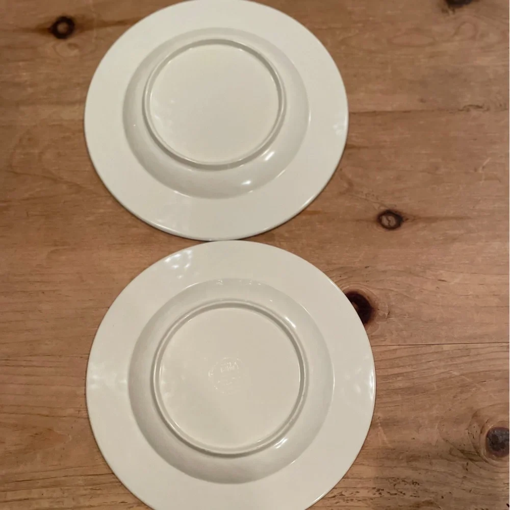 Williams Sonoma set of 2 Rustic White Crackle Melamine Farmhouse salad plates